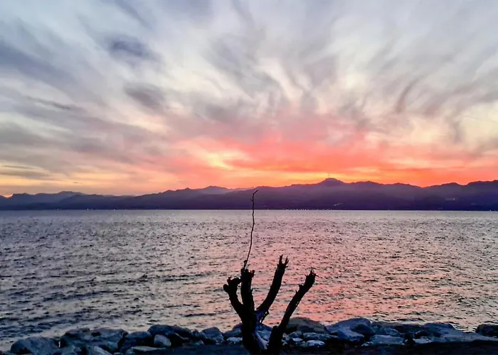 1 Bedroom Beautiful In Lejlighed *